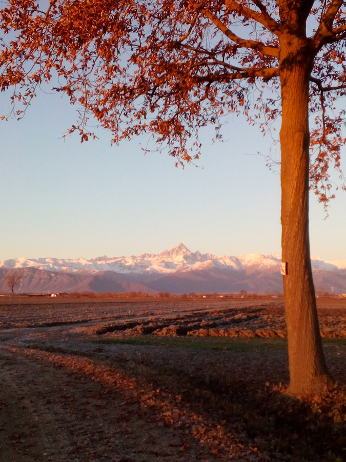 Foto dal comune