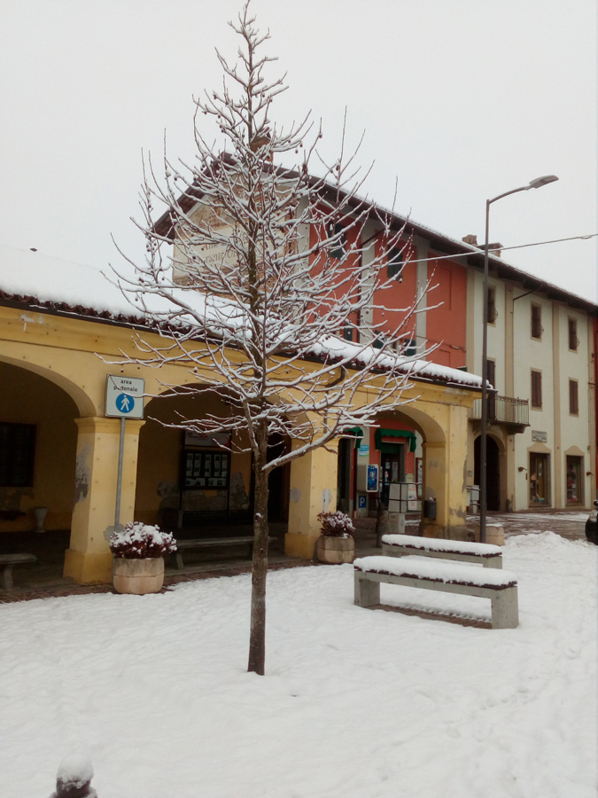 Polonghera