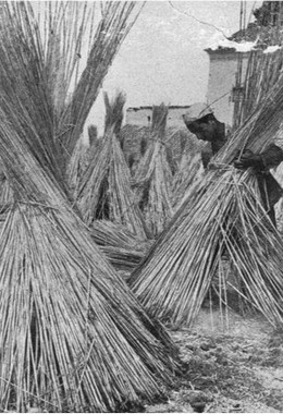 Lavorazione della canapa