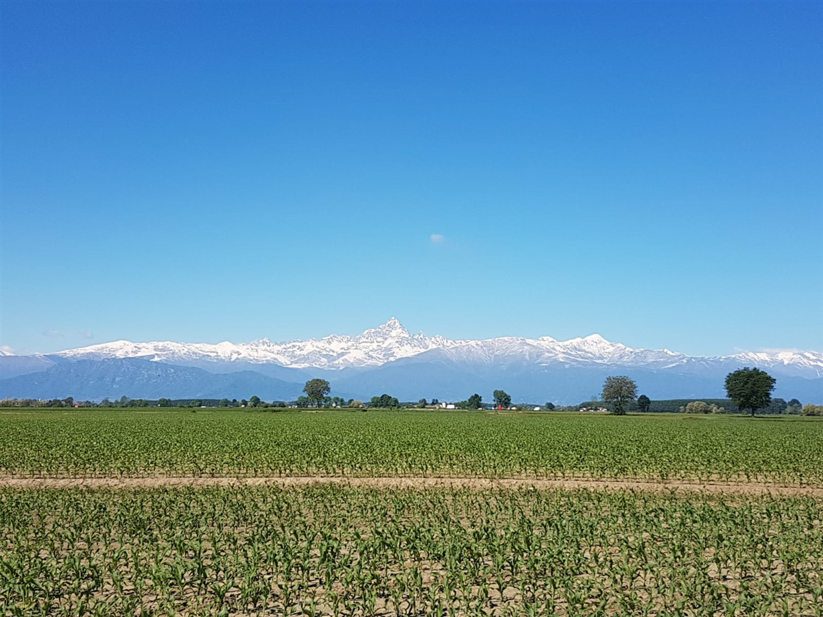 Polonghera