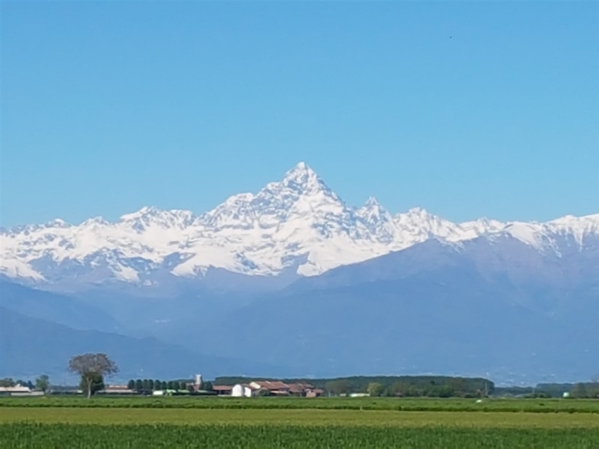 Polonghera