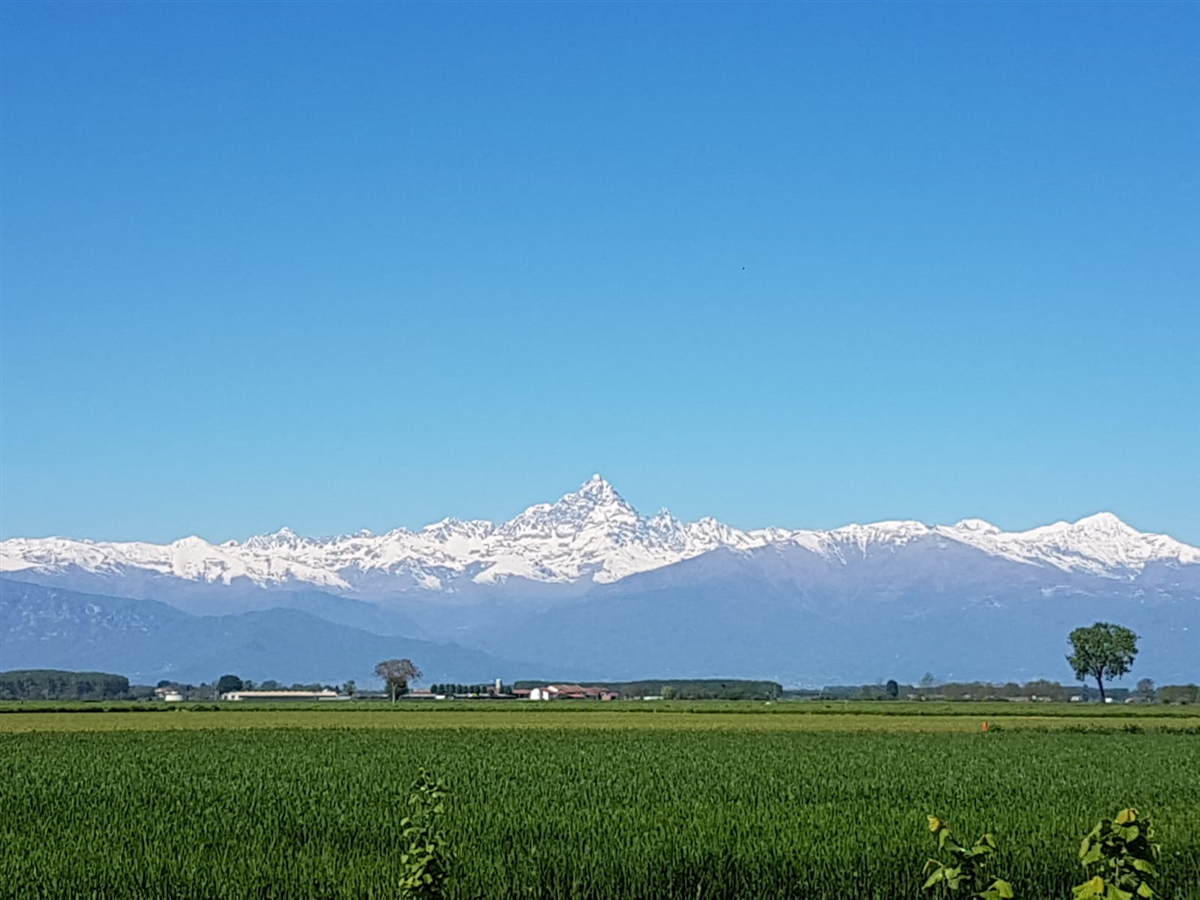 Polonghera