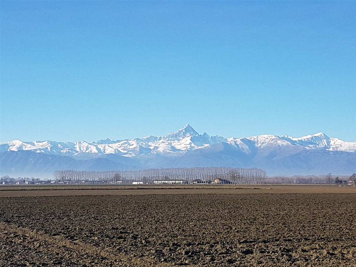 Polonghera