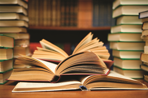 Biblioteca Comunale