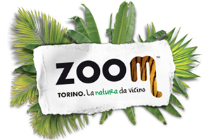 ZOOM per il Territorio